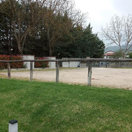 Il Boscaiolo Affittacamere Preturo 外观 照片